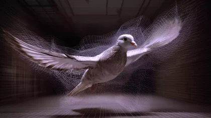 伊卡洛斯风洞残翼