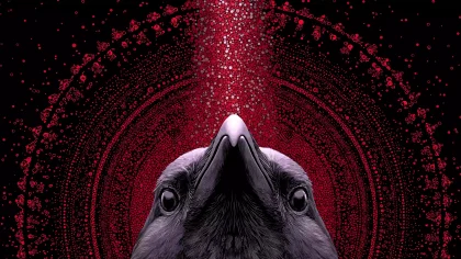 莫瑞甘战鸦算法