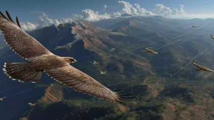 量子监视 《荷鲁斯之眼无人机》