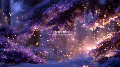 冬至的希望之光