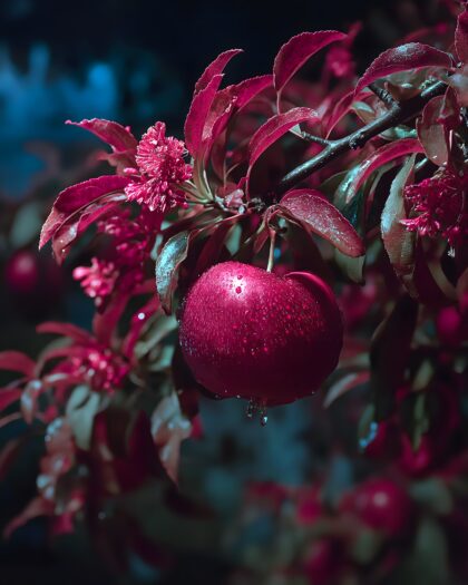 民族文化素材图片