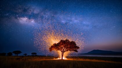 民族文化素材图片