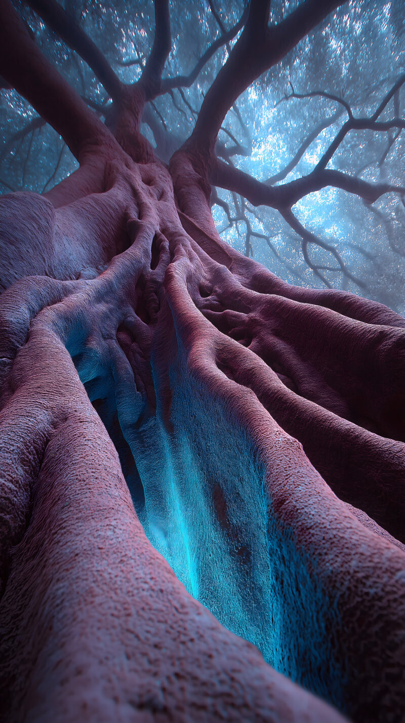 民族文化素材图片