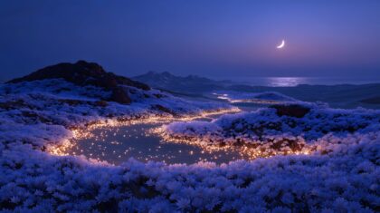 民族文化素材图片