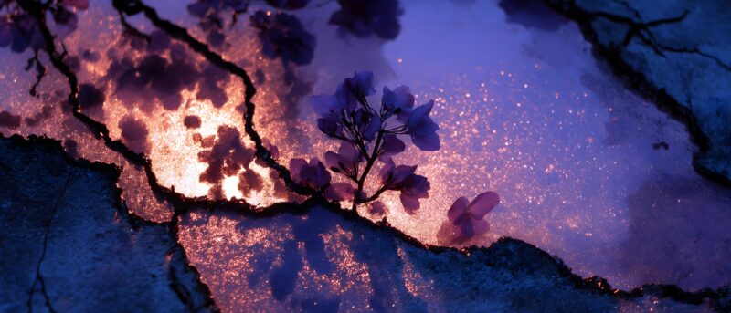 民族文化素材图片