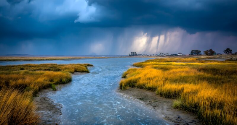 民族文化素材图片