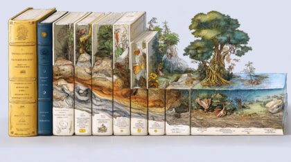 民族文化素材图片