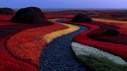 民族文化素材图片