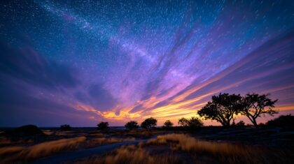 民族文化素材图片