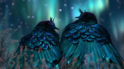 民族文化素材图片