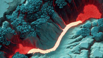 民族文化素材图片