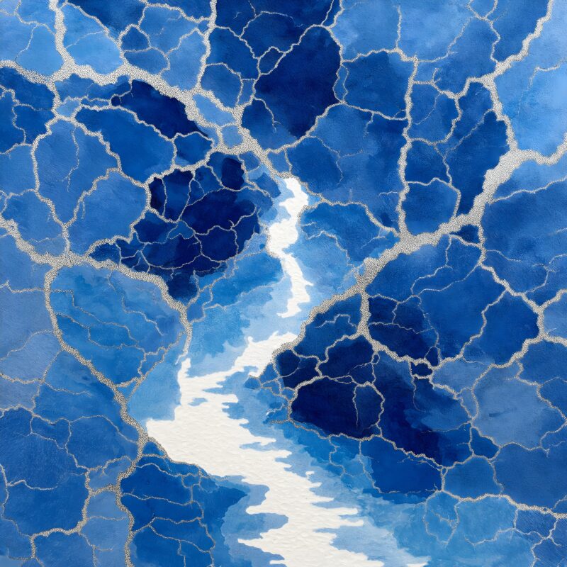 画面描述：蜡染冰裂纹放大，细密裂纹如河流分支形成银白网络。点线面配合有致，蓝白疏密得当，虚实变化自然。每块蜡染冰裂纹独一无二，是布依族美学签名。